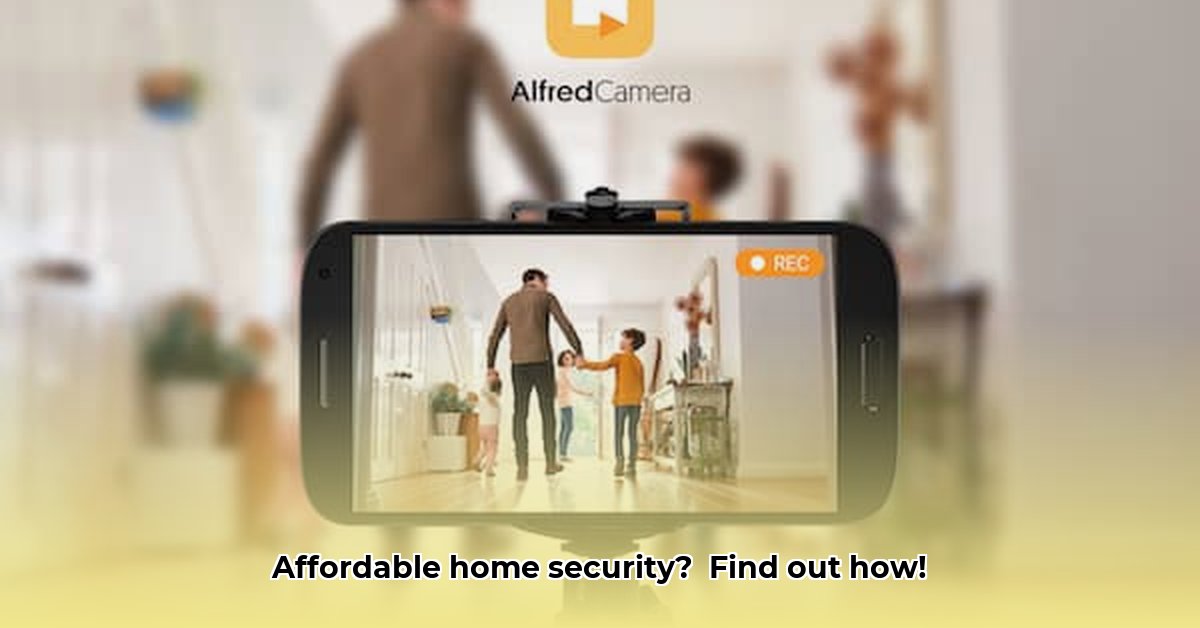 alfred-camera-pricing